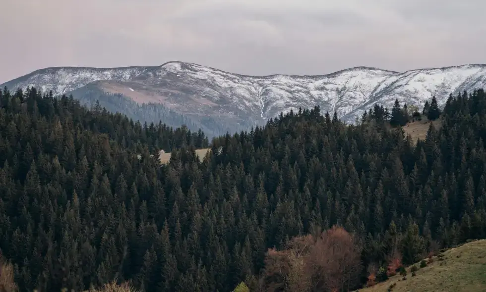 Nákup rumunské dálniční známky a cestovní tipy na cestování